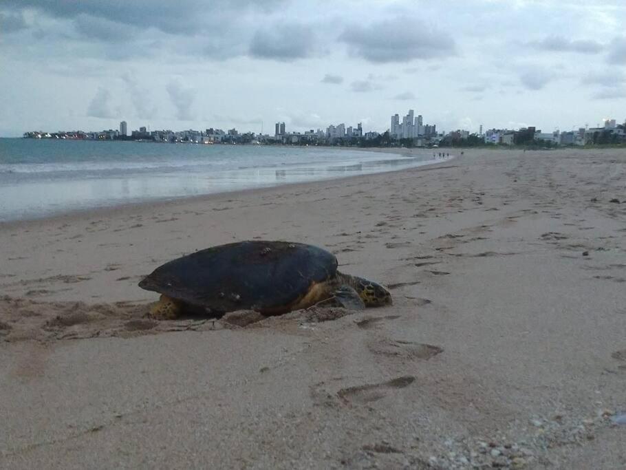 Joao Pessoa, A Dois Passos Do Paraiso, 2 Suites Com A/C, Vista Panoramica Para O Mar Do Bessa, Portaria 24H E 2 Vagas De Garagem Esterno foto